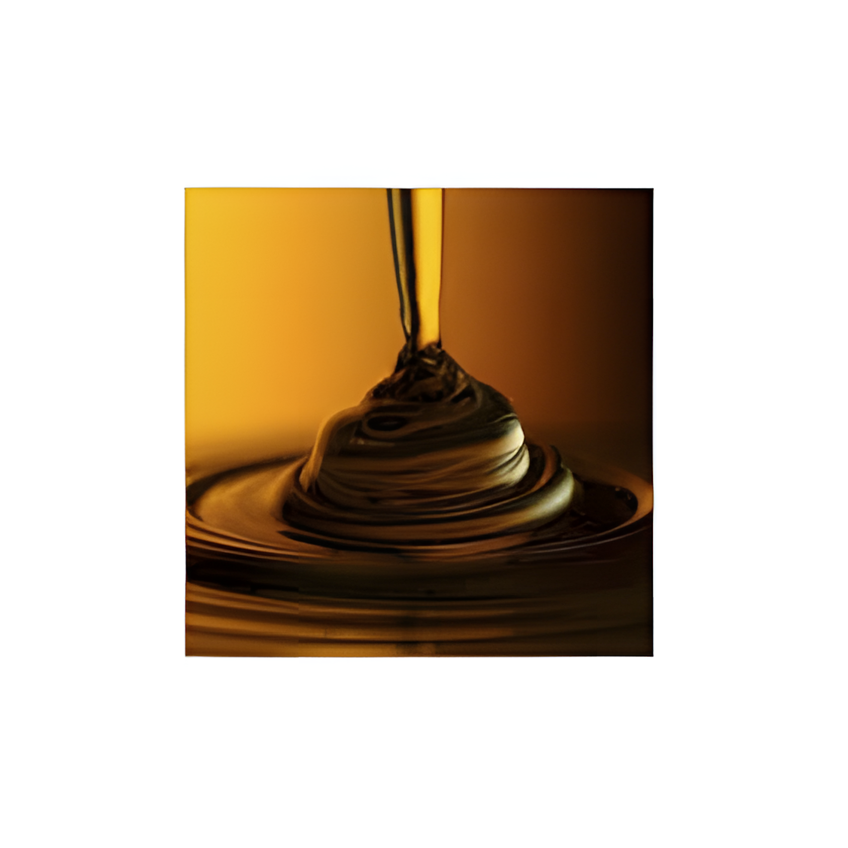 Alkyd Resin
