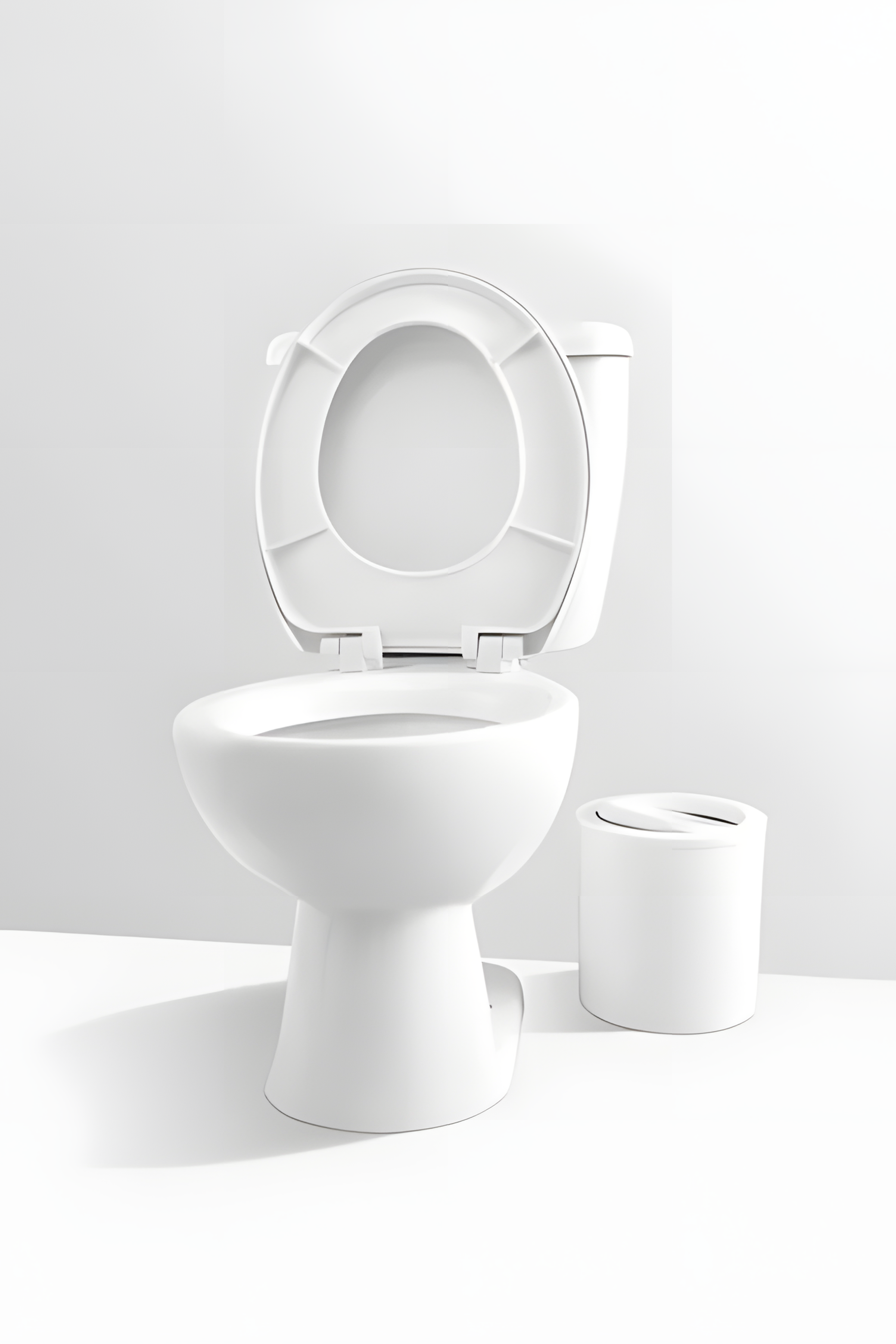 Toilet Echo